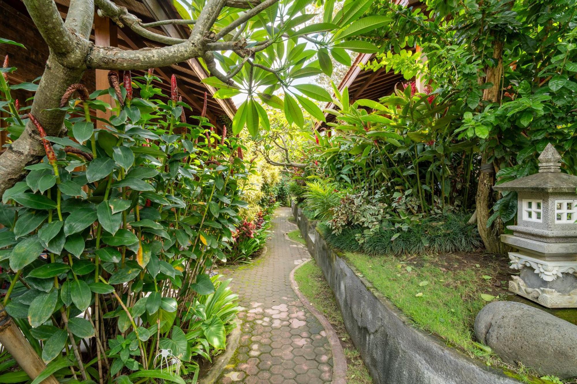 Jinar Guest House Canggu Exteriér fotografie